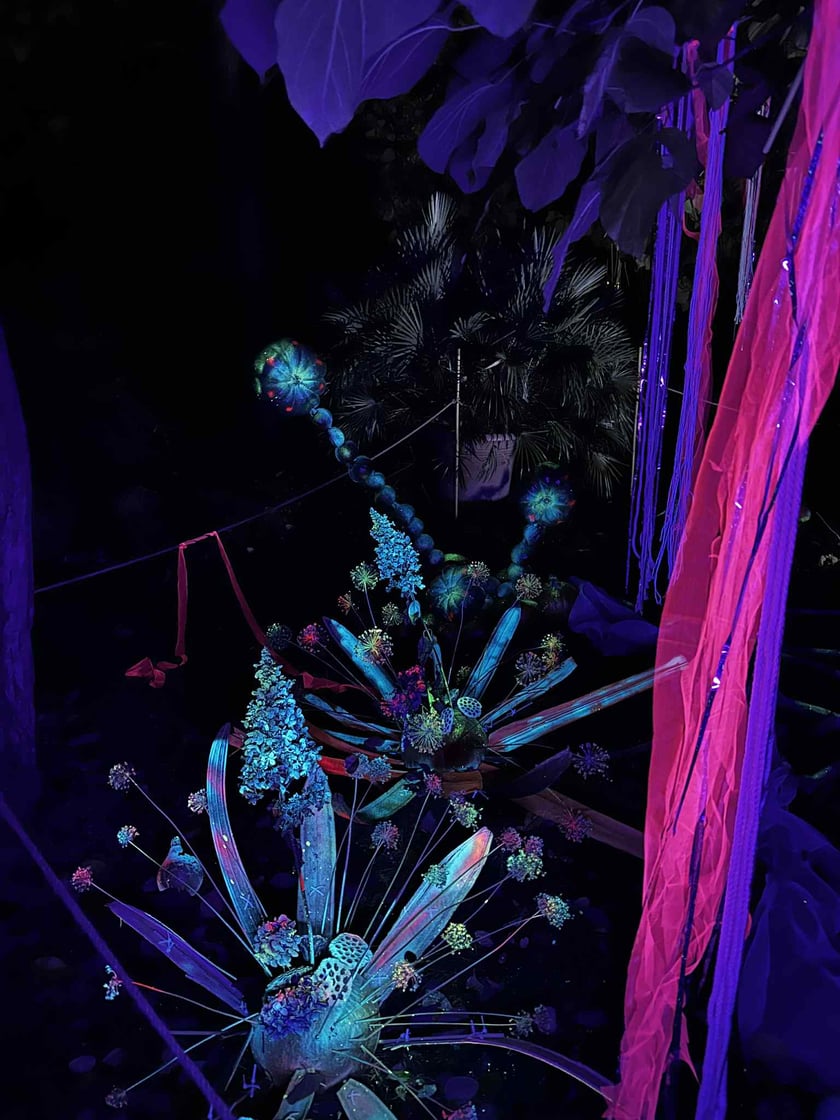 Dyniowe Iluminacje w Ogrodzie Botanicznym UWr&nbsp;