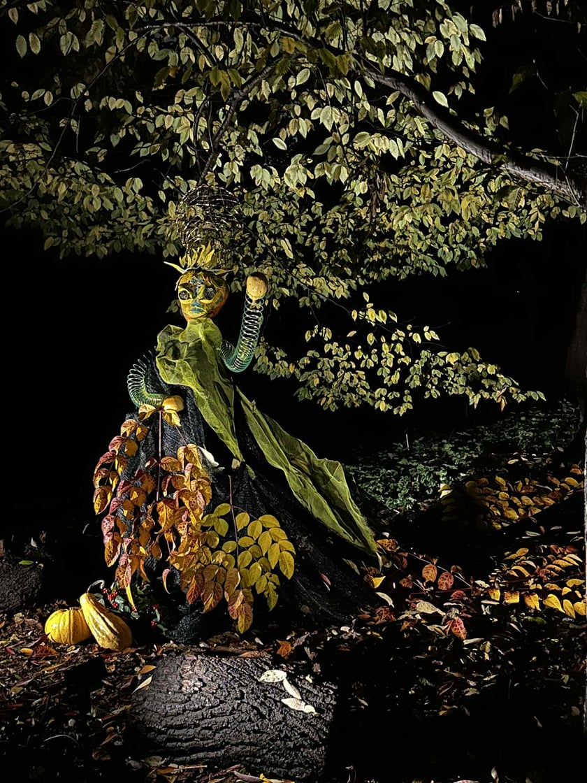 Dyniowe Iluminacje w Ogrodzie Botanicznym UWr&nbsp;