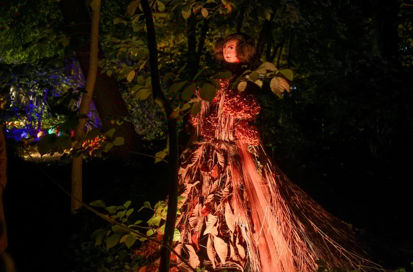 Dyniowe iluminacje w Ogrodzie Botanicznym.