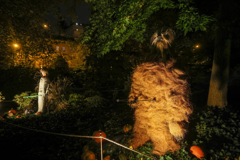 Dyniowe iluminacje w Ogrodzie Botanicznym.