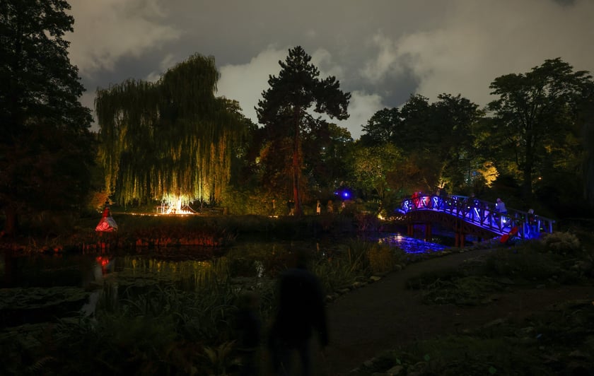 Dyniowe iluminacje w Ogrodzie Botanicznym.