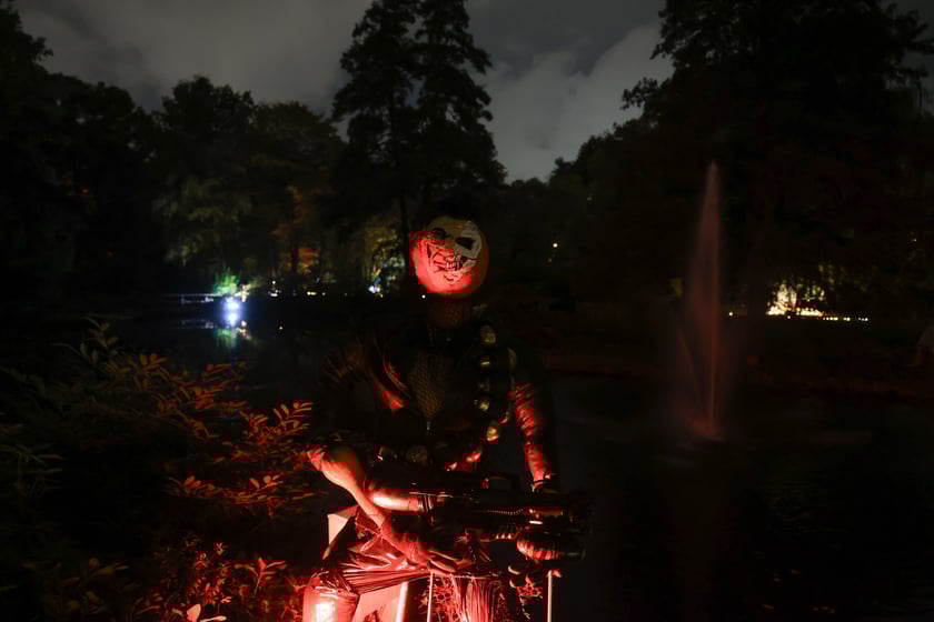Dyniowe iluminacje w Ogrodzie Botanicznym.