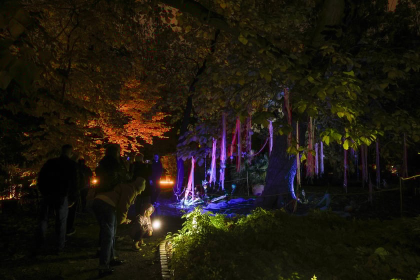 Dyniowe iluminacje w Ogrodzie Botanicznym.