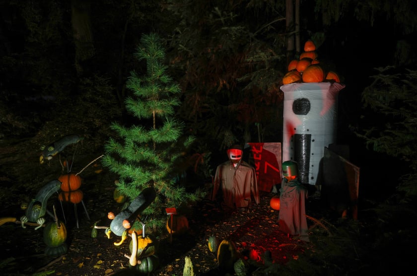 Dyniowe iluminacje w Ogrodzie Botanicznym.