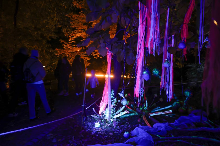 Dyniowe iluminacje w Ogrodzie Botanicznym.