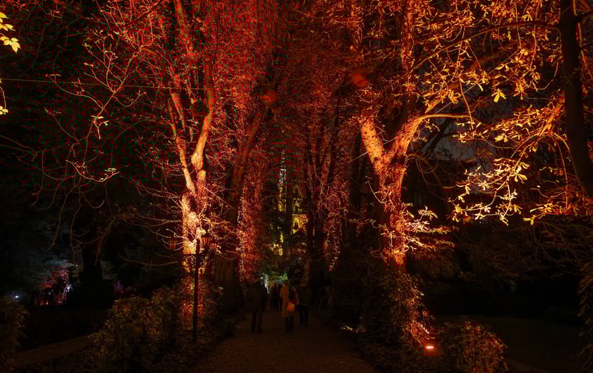 Dyniowe iluminacje w Ogrodzie Botanicznym.