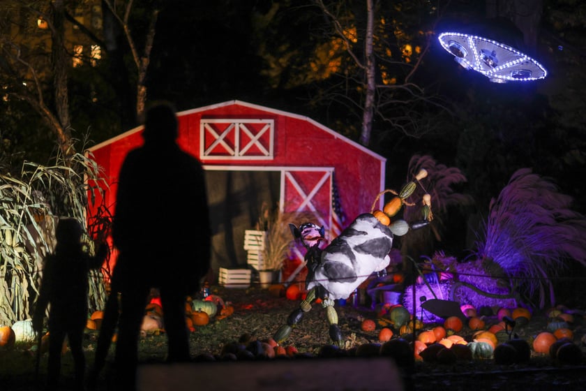 Dyniowe iluminacje w Ogrodzie Botanicznym.