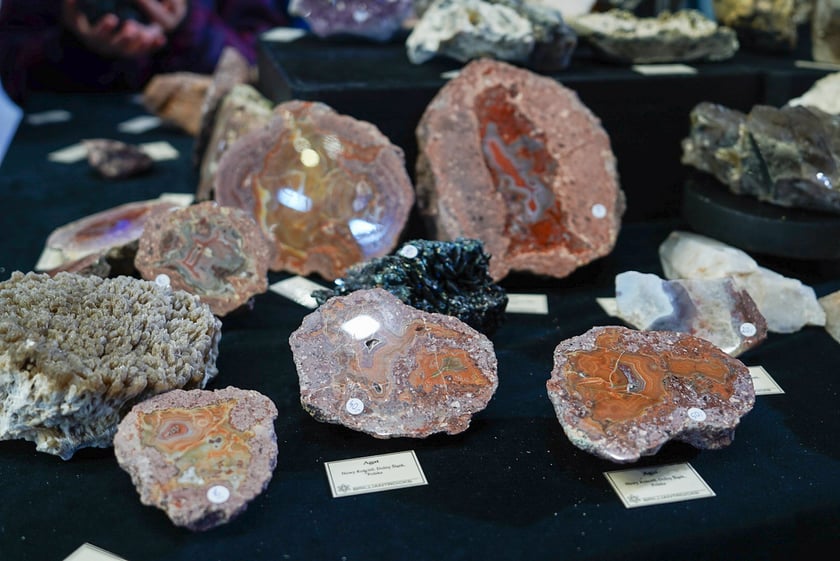 Powiększ obraz: Wystawa agatów na Jesiennych Targach Minerałów, Biżuterii i Wyrobów Jubilerskich w hali Orbita