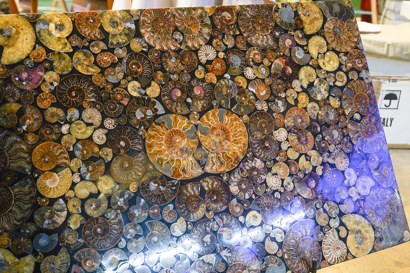 Powiększ obraz: Jesienne Targów Minerałów, Biżuterii i Wyrobów Jubilerskich w hali Orbita.