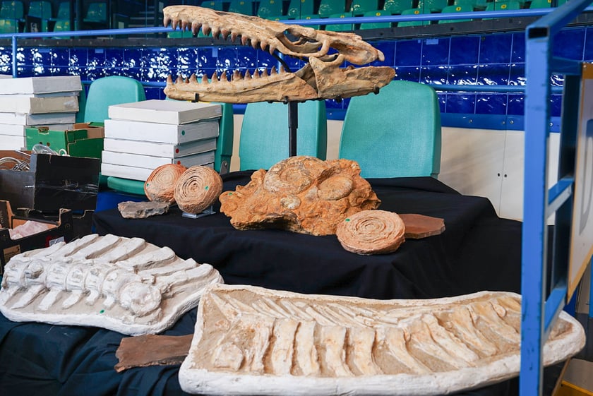 Powiększ obraz: Jesienne Targów Minerałów, Biżuterii i Wyrobów Jubilerskich w hali Orbita.