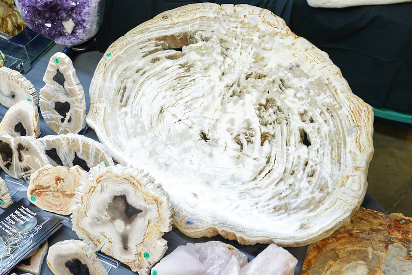 Powiększ obraz: Jesienne Targów Minerałów, Biżuterii i Wyrobów Jubilerskich w hali Orbita.