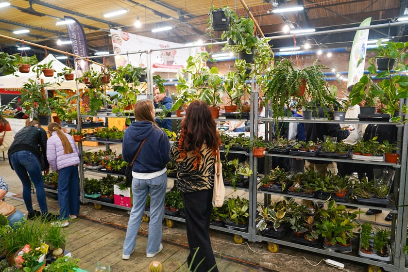 Festiwal Kupuj Świadomie w Czasoprzestrzeni