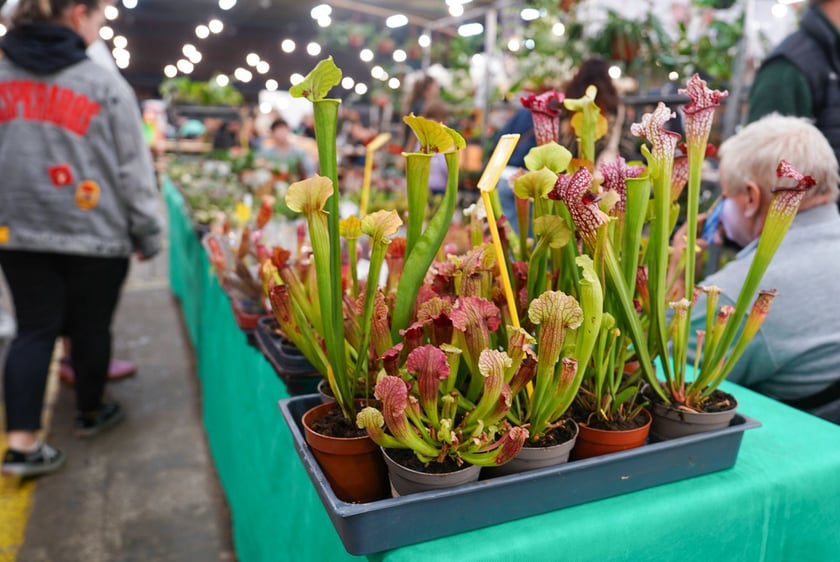 Festiwal Kupuj Świadomie w Czasoprzestrzeni