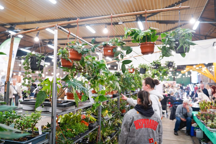 Festiwal Kupuj Świadomie w Czasoprzestrzeni