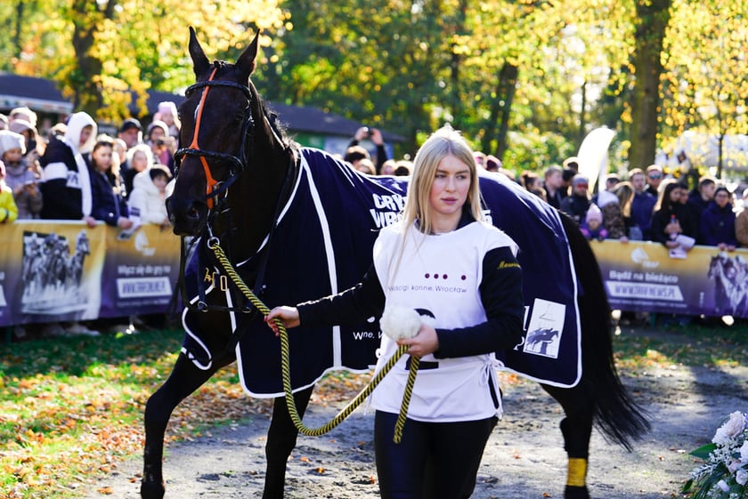 11. dzień wyścigowy: Crystal Cup i Święto Województwa Dolnośląskiego na Wrocławskim Torze Wyścigów Konnych Partynice