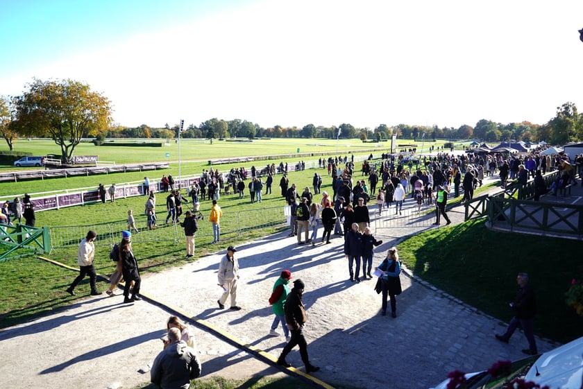 11. dzień wyścigowy: Crystal Cup i Święto Województwa Dolnośląskiego na Wrocławskim Torze Wyścigów Konnych Partynice