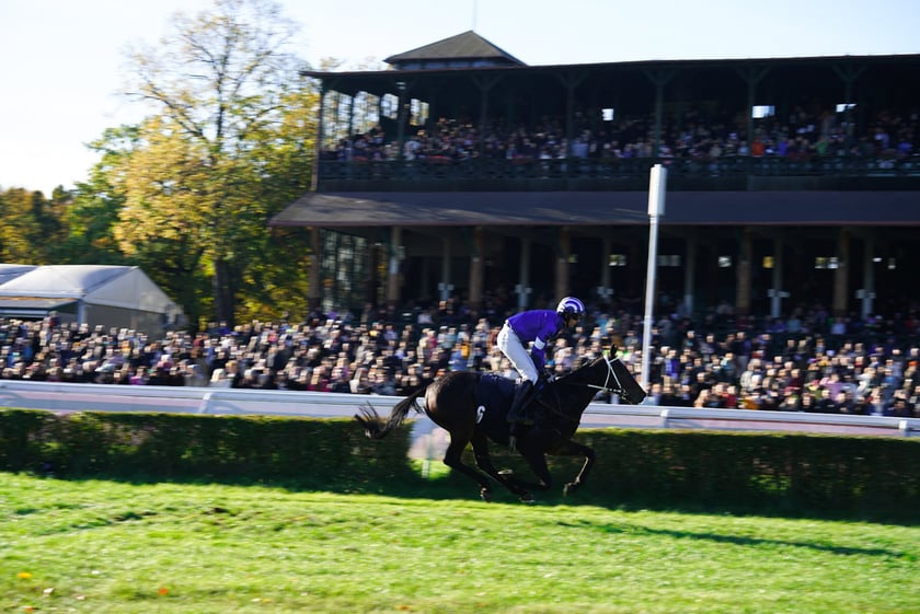 11. dzień wyścigowy: Crystal Cup i Święto Województwa Dolnośląskiego na Wrocławskim Torze Wyścigów Konnych Partynice