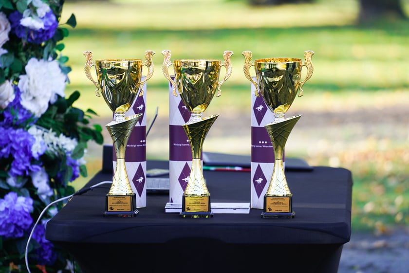 11. dzień wyścigowy: Crystal Cup i Święto Województwa Dolnośląskiego na Wrocławskim Torze Wyścigów Konnych Partynice