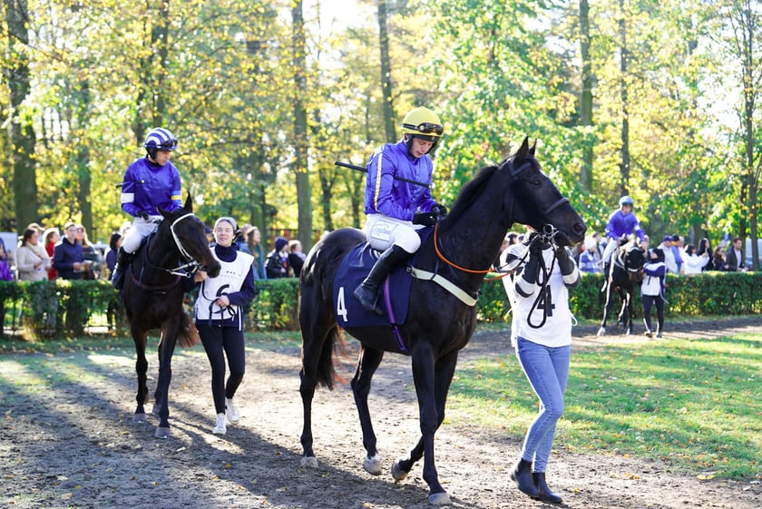 11. dzień wyścigowy: Crystal Cup i Święto Województwa Dolnośląskiego na Wrocławskim Torze Wyścigów Konnych Partynice