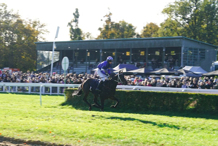 11. dzień wyścigowy: Crystal Cup i Święto Województwa Dolnośląskiego na Wrocławskim Torze Wyścigów Konnych Partynice