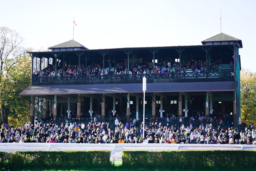 11. dzień wyścigowy: Crystal Cup i Święto Województwa Dolnośląskiego na Wrocławskim Torze Wyścigów Konnych Partynice