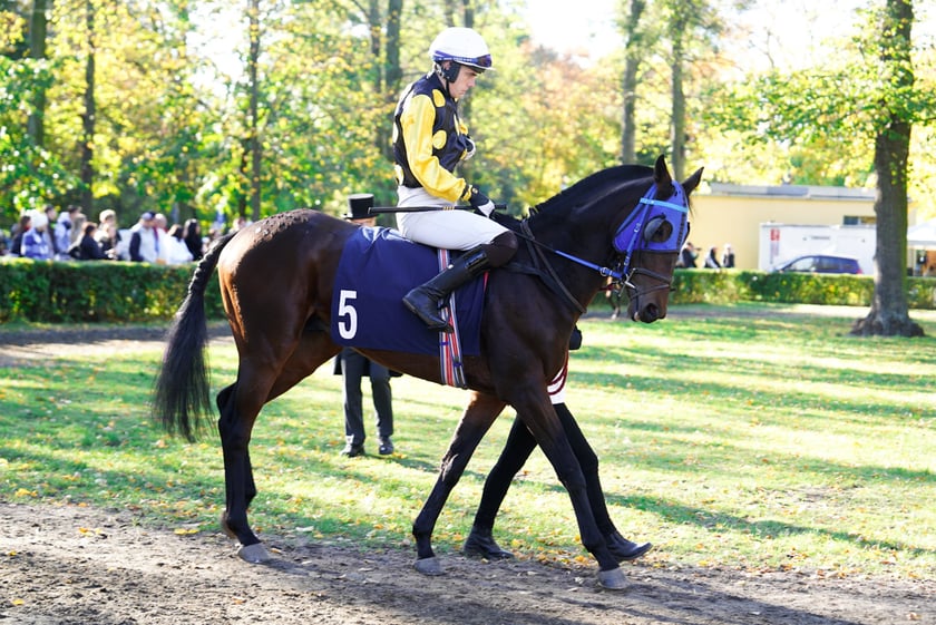 11. dzień wyścigowy: Crystal Cup i Święto Województwa Dolnośląskiego na Wrocławskim Torze Wyścigów Konnych Partynice