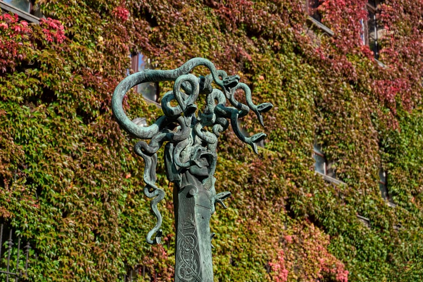 Budynek Muzeum Narodowego we Wrocławiu jesienią - październik 2025