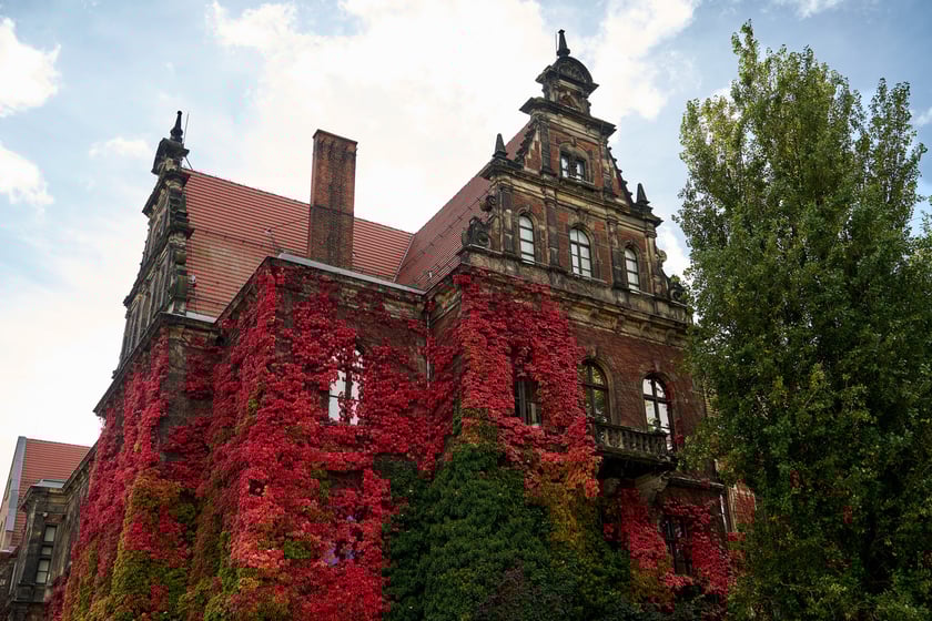 Budynek Muzeum Narodowego we Wrocławiu jesienią - październik 2025