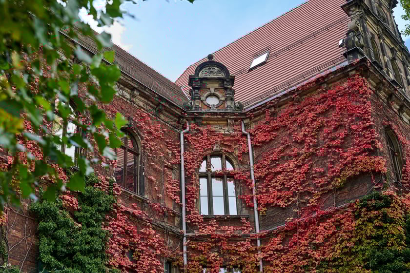 Budynek Muzeum Narodowego we Wrocławiu jesienią - październik 2025