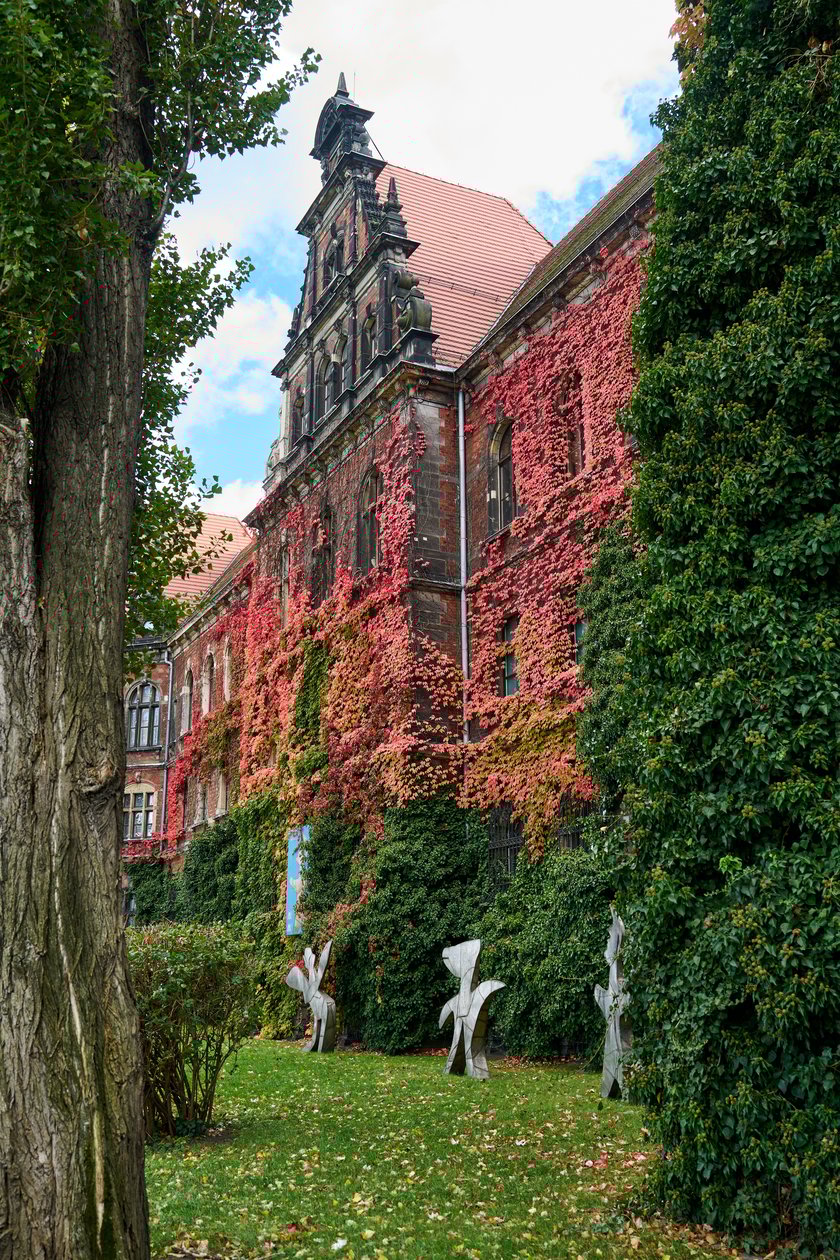Budynek Muzeum Narodowego we Wrocławiu jesienią - październik 2025