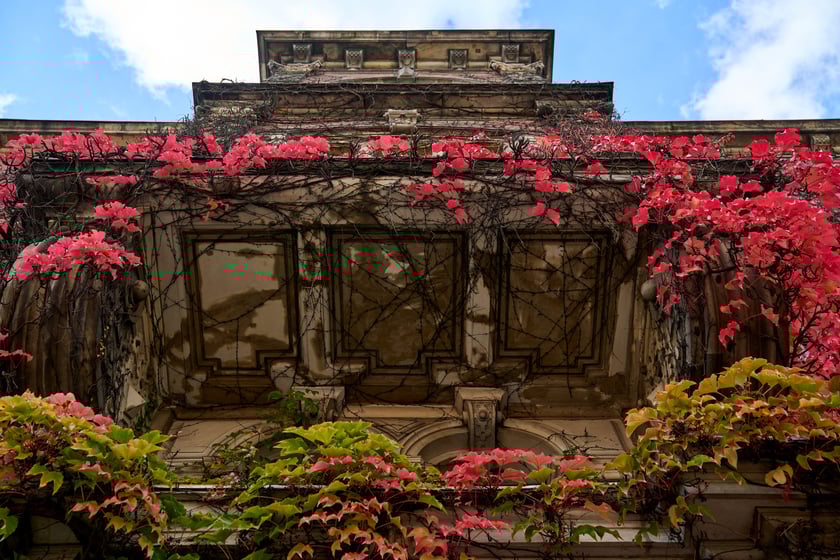 Budynek Muzeum Narodowego we Wrocławiu jesienią - październik 2025