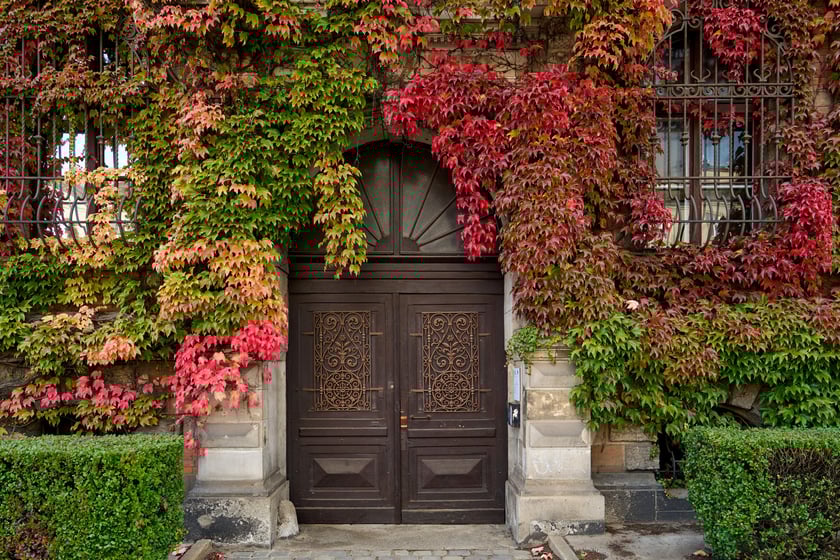 Budynek Muzeum Narodowego we Wrocławiu jesienią - październik 2025