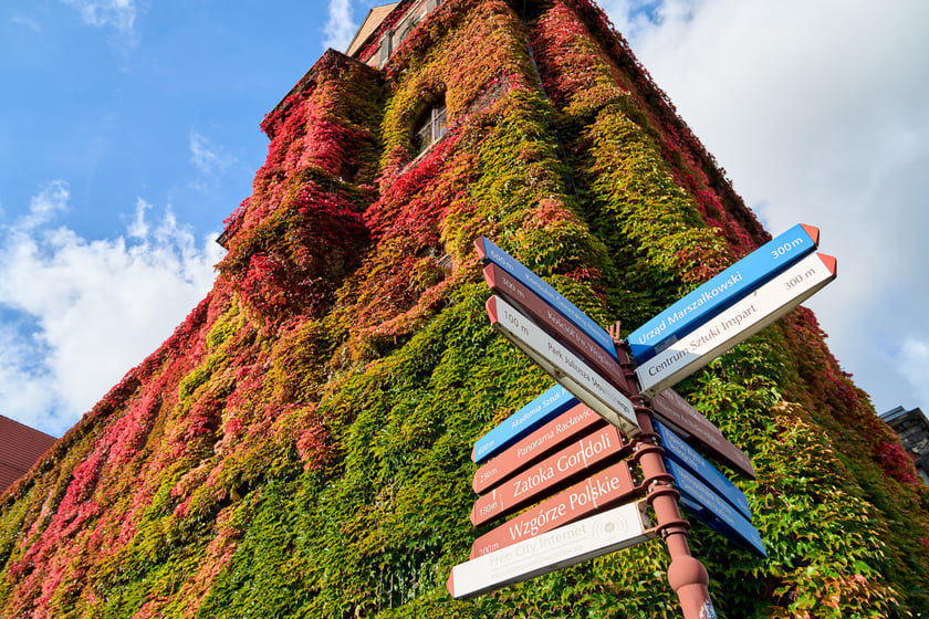 Budynek Muzeum Narodowego we Wrocławiu jesienią - październik 2025