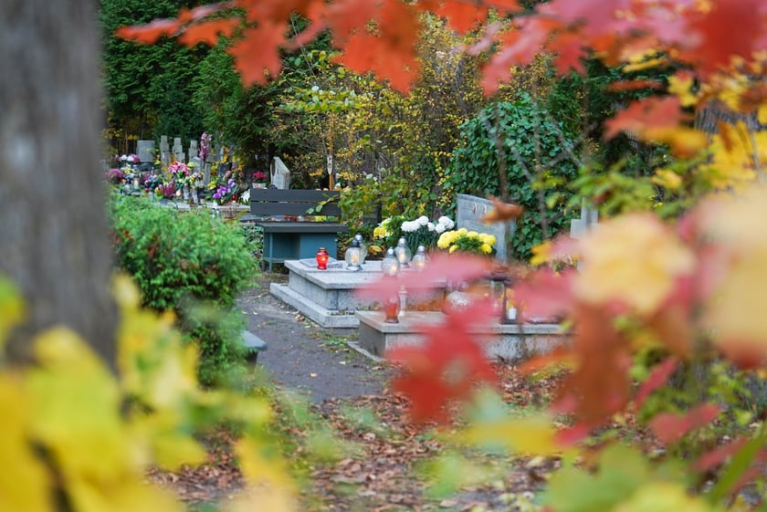 Przygotowania do Wszystkich Świętych na cmentarzu Grabiszyńskim - 26.10.2025