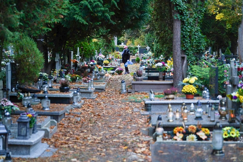 Przygotowania do Wszystkich Świętych na cmentarzu Grabiszyńskim - 26.10.2025