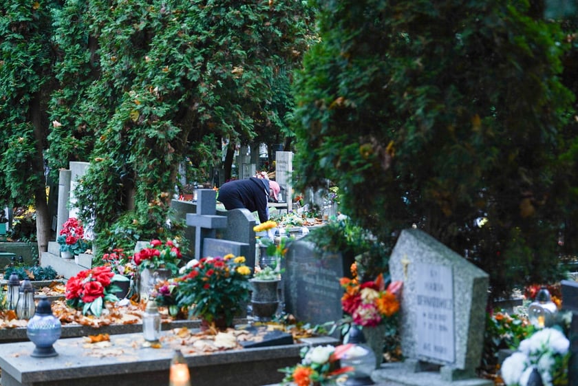 Przygotowania do Wszystkich Świętych na cmentarzu Grabiszyńskim - 26.10.2025