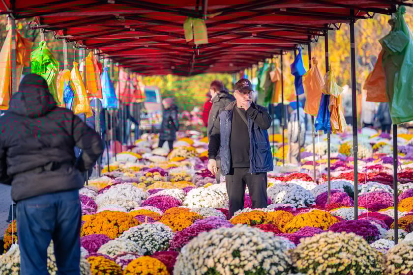 Cmentarz Osobowicki o poranku 1 listopada 2025