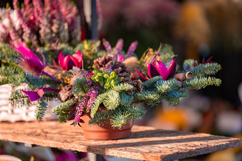 Cmentarz Osobowicki o poranku 1 listopada 2025