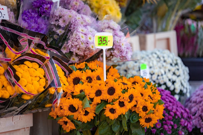 Cmentarz Osobowicki o poranku 1 listopada 2025