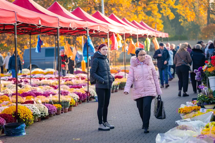 Cmentarz Osobowicki o poranku 1 listopada 2025