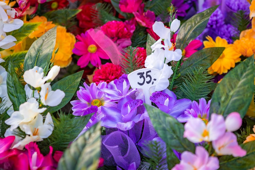 Cmentarz Osobowicki o poranku 1 listopada 2025