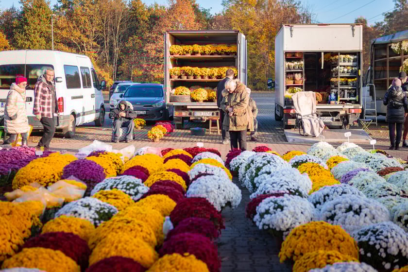 Cmentarz Osobowicki o poranku 1 listopada 2025