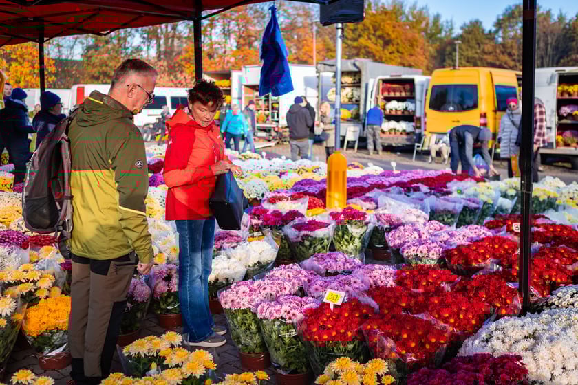 Cmentarz Osobowicki o poranku 1 listopada 2025