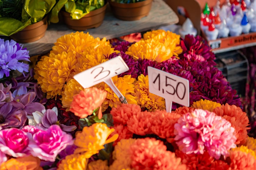 Cmentarz Osobowicki o poranku 1 listopada 2025