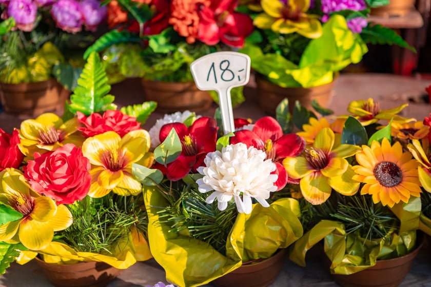 Cmentarz Osobowicki o poranku 1 listopada 2025