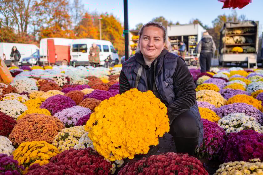 Cmentarz Osobowicki o poranku 1 listopada 2025