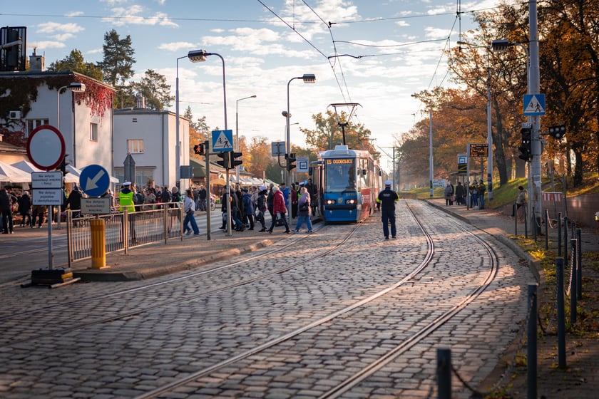 Cmentarz Osobowicki o poranku 1 listopada 2025