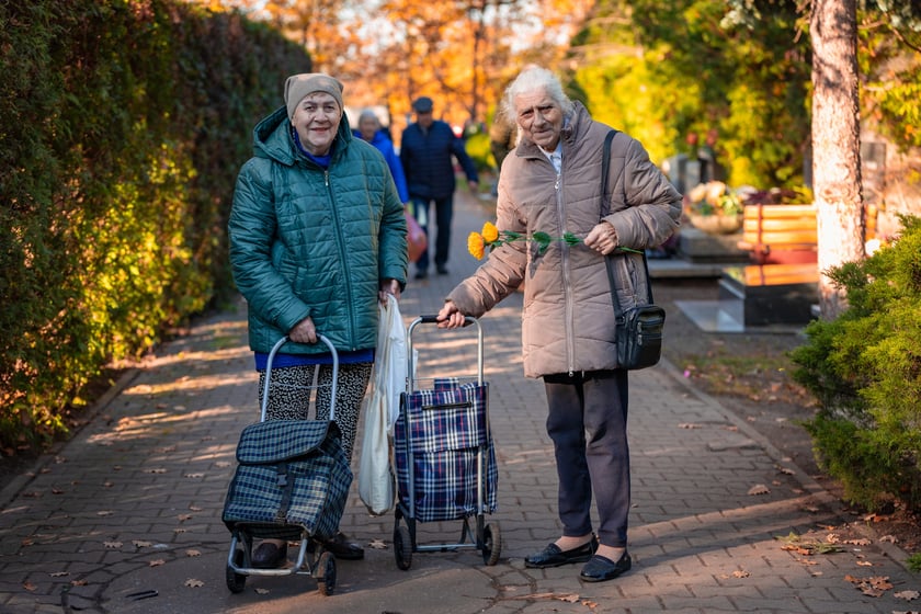 Cmentarz Osobowicki o poranku 1 listopada 2025