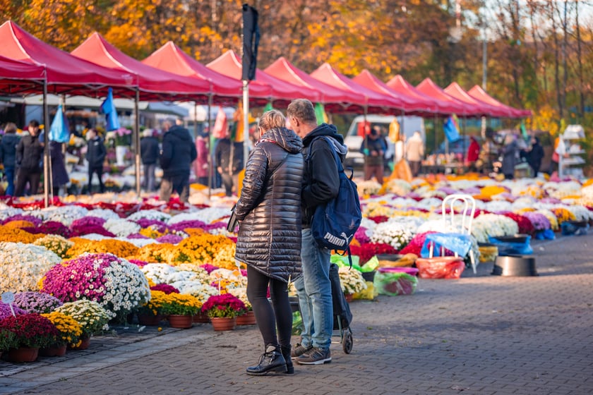 Cmentarz Osobowicki o poranku 1 listopada 2025