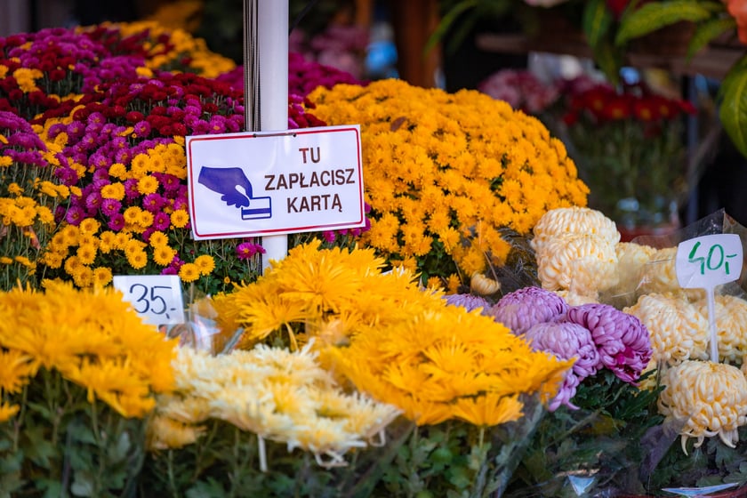 Cmentarz Osobowicki o poranku 1 listopada 2025